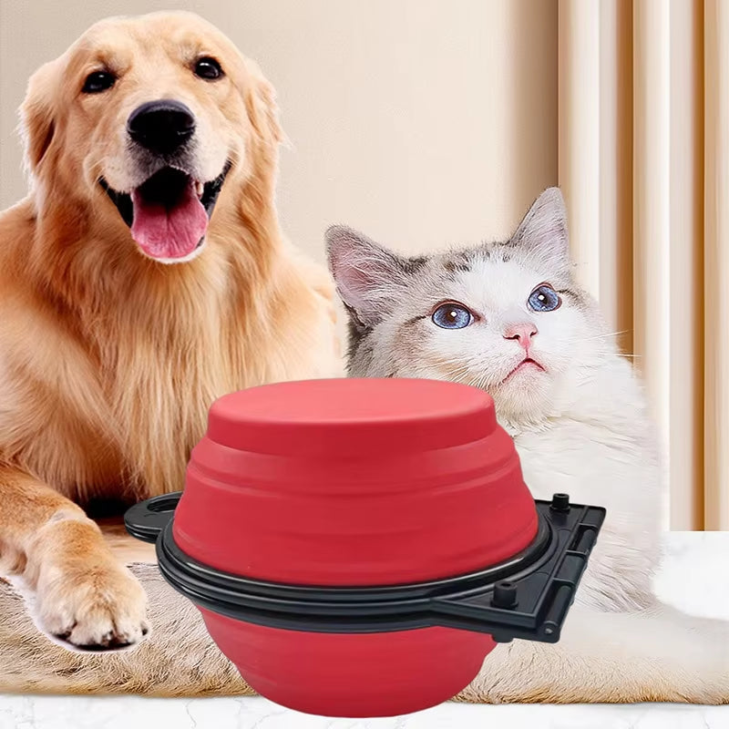 2-in-1 Foldable Pet Bowl – Portable Dual Feeding & Drinking Bowl for Dogs & Cats