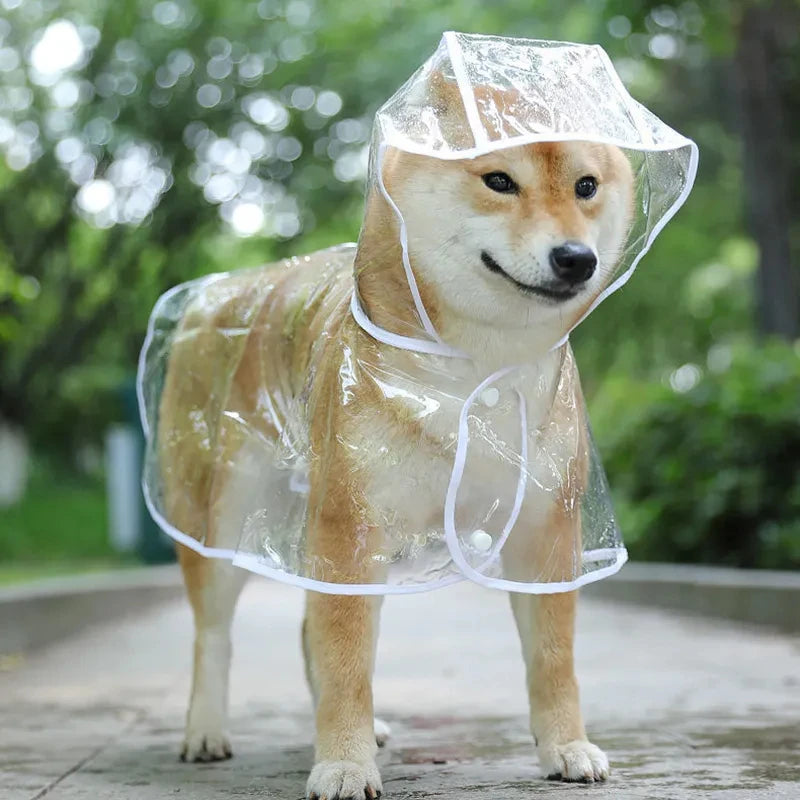 Transparent Dog Raincoat – Waterproof Hooded PVC Jacket for Small Dogs & Puppies