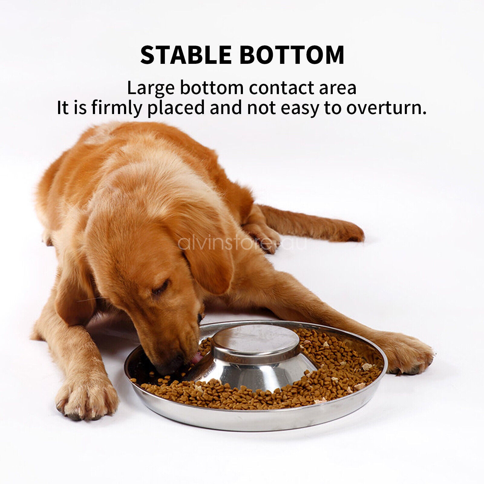 Stainless Steel Pet Feeder Bowl – Dog & Cat Litter Food Feeding Dish (AU)