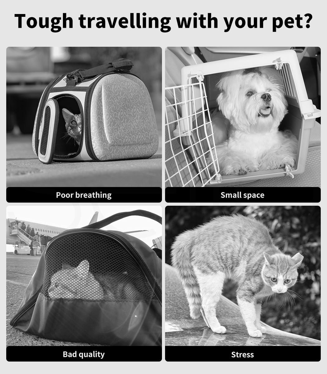 Pawz Dog Car Booster Seat Belt Pet Protector Portable Travel Bed Basket Washable