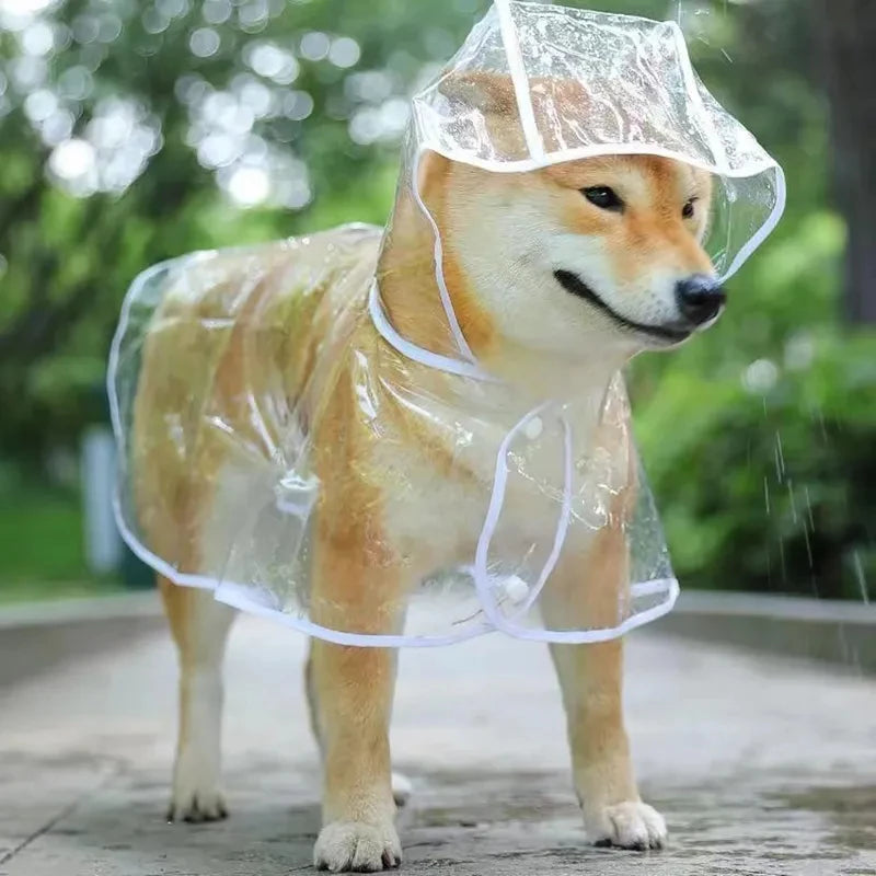 Transparent Dog Raincoat – Waterproof Hooded PVC Jacket for Small Dogs & Puppies